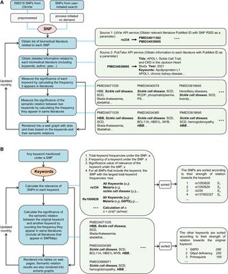 SNPMap—An integrated visual SNP interpretation tool